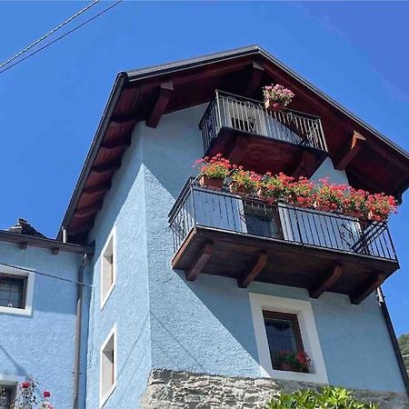Casa Del Cios Calda E Intima Casetta Immersa Nel Verde Delle Montagne Alpe Basciumo 外观 照片
