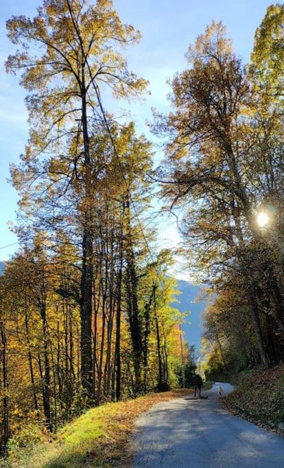 Casa Del Cios Calda E Intima Casetta Immersa Nel Verde Delle Montagne Alpe Basciumo 外观 照片