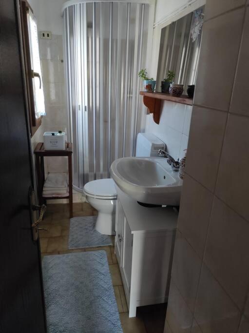 Casa Del Cios Calda E Intima Casetta Immersa Nel Verde Delle Montagne Alpe Basciumo 外观 照片