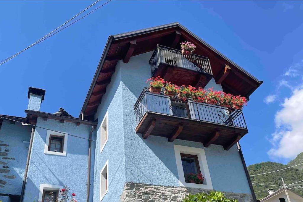 Casa Del Cios Calda E Intima Casetta Immersa Nel Verde Delle Montagne Alpe Basciumo 外观 照片