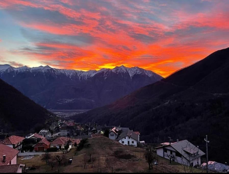 Casa Del Cios Calda E Intima Casetta Immersa Nel Verde Delle Montagne Alpe Basciumo 外观 照片