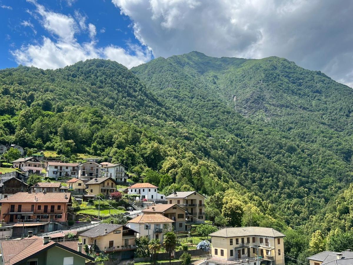 Casa Del Cios Calda E Intima Casetta Immersa Nel Verde Delle Montagne Alpe Basciumo 外观 照片